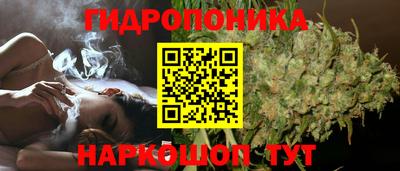 трава Бузулук